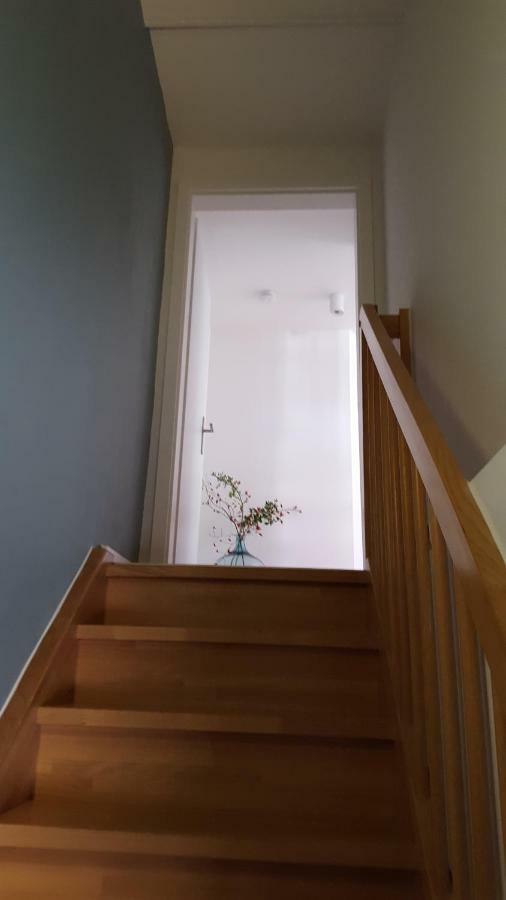 Haus Zum Wilden Manne Villa Erfurt Exteriör bild